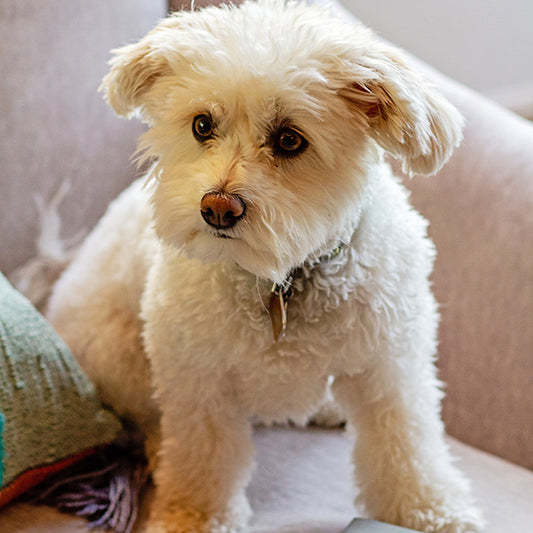 The ‘Me’ + The ‘We’