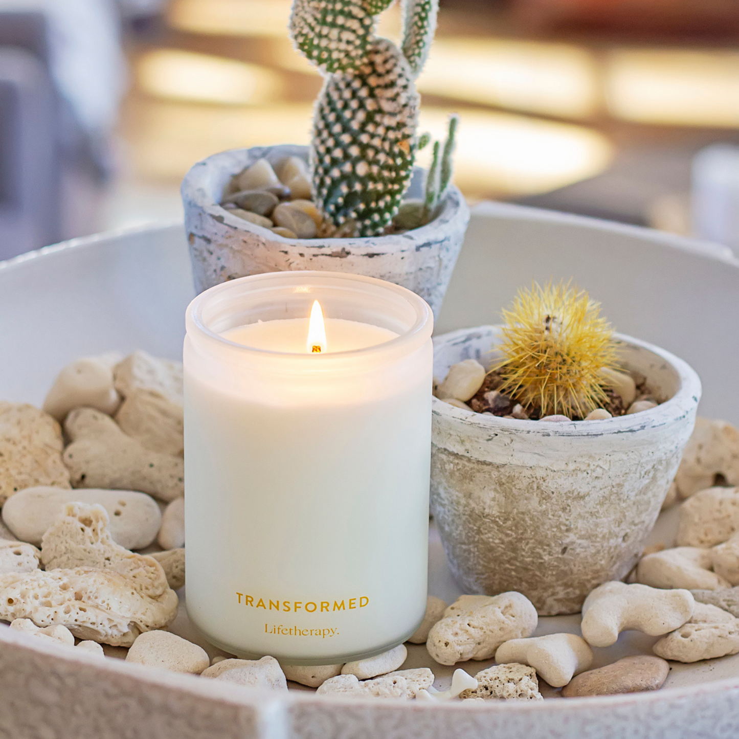 Transformed Soy Candle by Lifetherapy